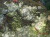 DSCN3384.JPG