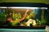 20100131IMG_0402.JPG