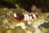 Farbform-08.02.10-Bild-1.jpg