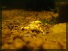 comp_DSC01645.jpg