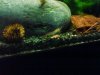 DSC00100.JPG