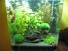 Garnelenaquarium von vorne 7.JPG
