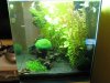 Garnelenaquarium von rechts 7.JPG
