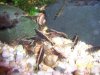 100_3738.JPG
