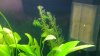 20100807_007.jpg