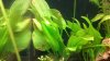 20100807_005.jpg