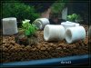 comp_DSC02720.jpg