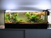 Aquarien Terrarien 029.jpg