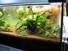 Aquarien Terrarien 033.jpg