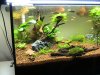 Aquarien Terrarien 032.jpg