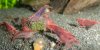 DSCF6539.JPG