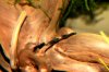 aIMG_0271.JPG
