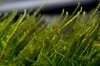 aIMG_0263.JPG