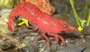 20110118124328kkp.JPG