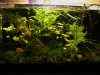 25l.jpg