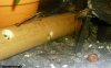 SnakeSkin-8.jpg