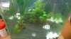 P1010694 Tigerfarm 001.jpg