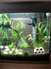 30l klein.jpg