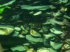 100_3463.JPG