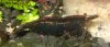 20110312132413.jpg