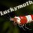 Luckymoth1