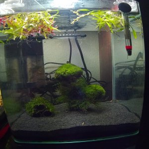 20 L Nano Becken (Noch nicht fertig)