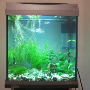 Aqua Art 30 Liter