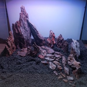 Hardscape