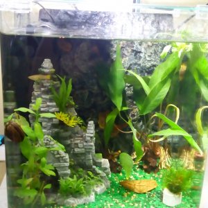 30 l Fluval Cube