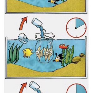 Anleitung Angleichen.jpeg