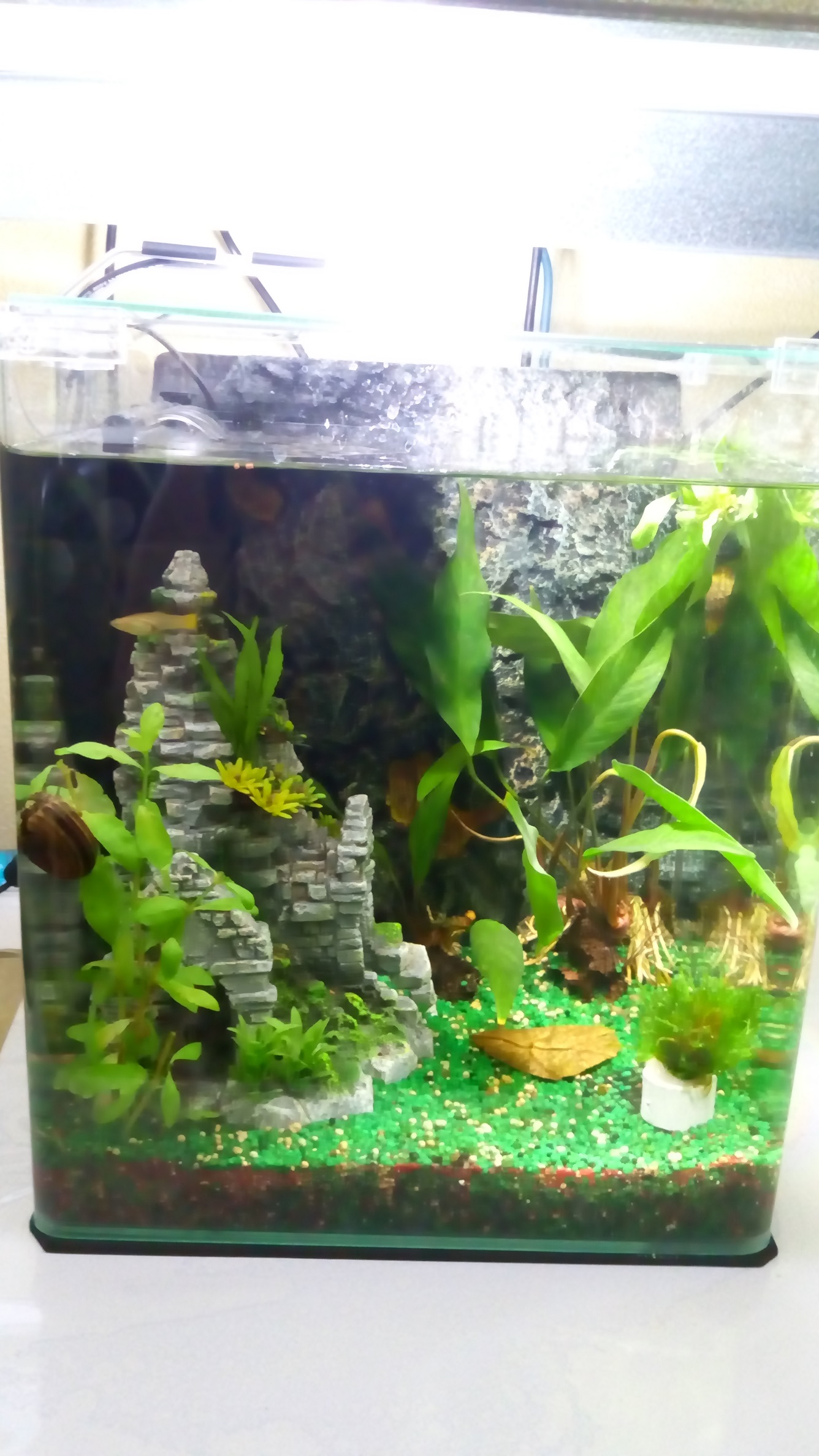 30 l Fluval Cube