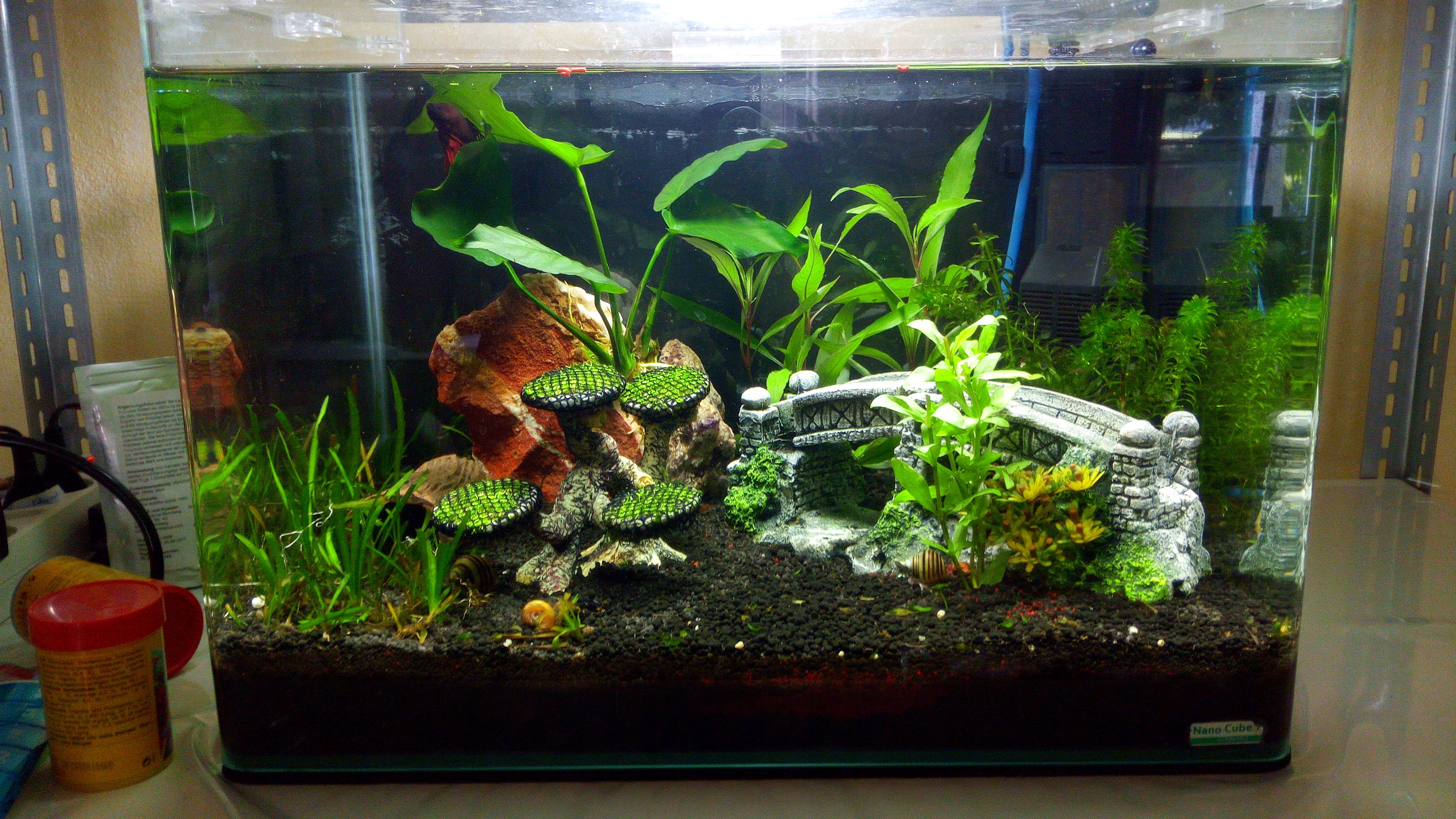 50 l Scapers Tank