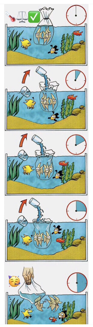 Anleitung Angleichen.jpeg